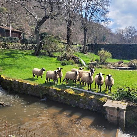Le Moulin Bed & Breakfast Saint-Arcons-d'Allier Luaran gambar