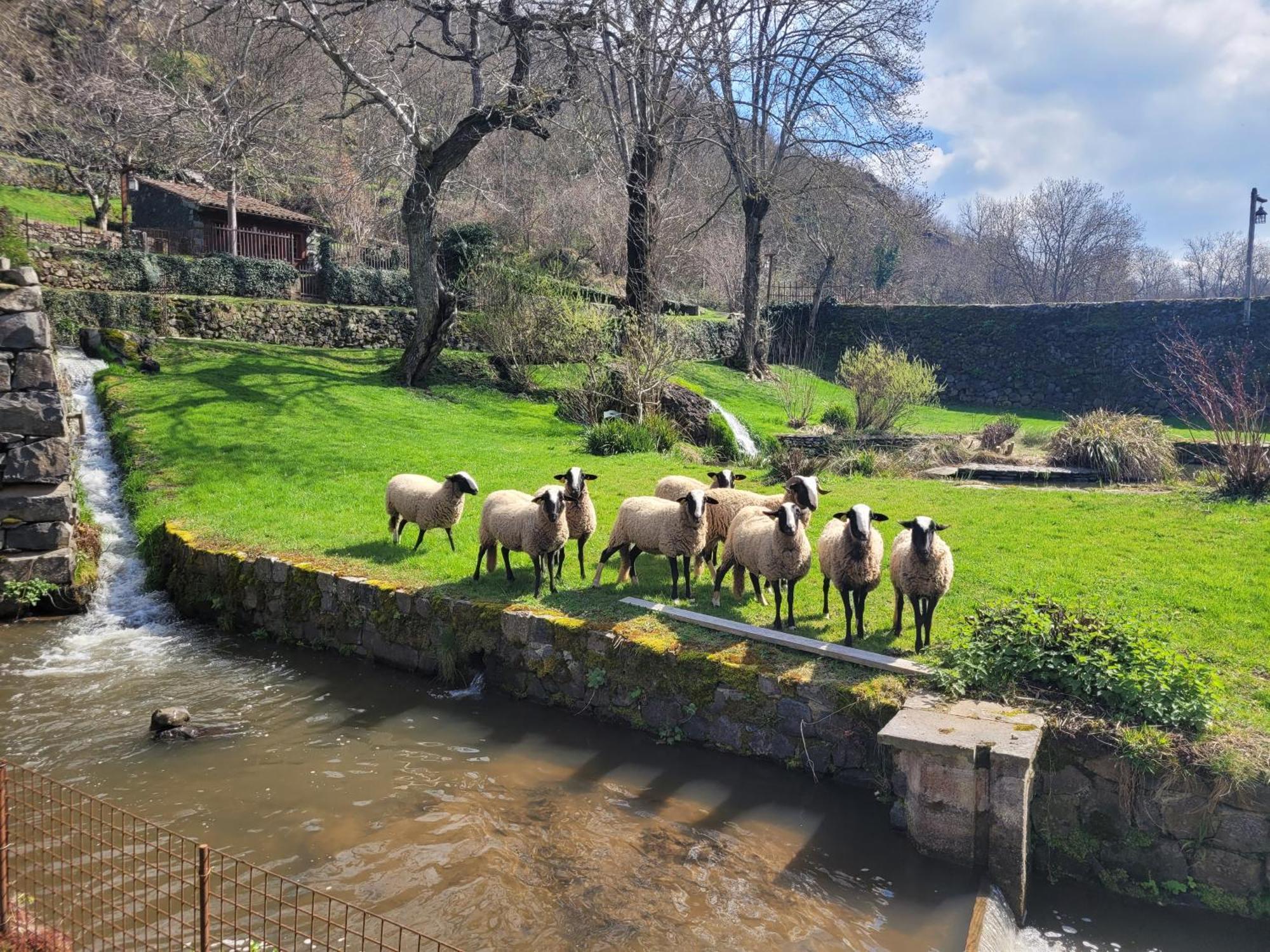 Le Moulin Bed & Breakfast Saint-Arcons-d'Allier Luaran gambar